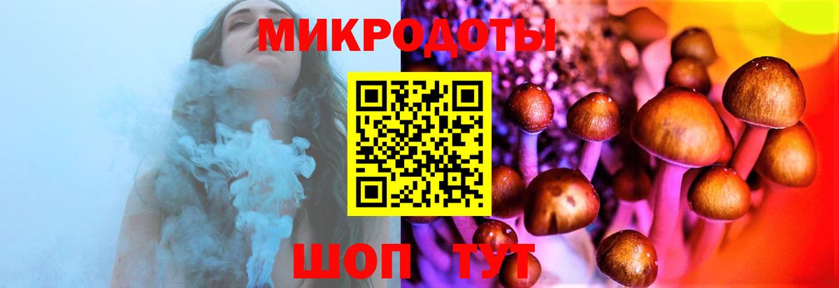Галлюциногенные грибы Magic Shrooms Россия