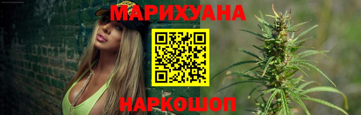Канабис сатива Россия